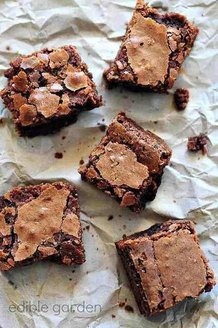 Chewy deals chocolate brownies